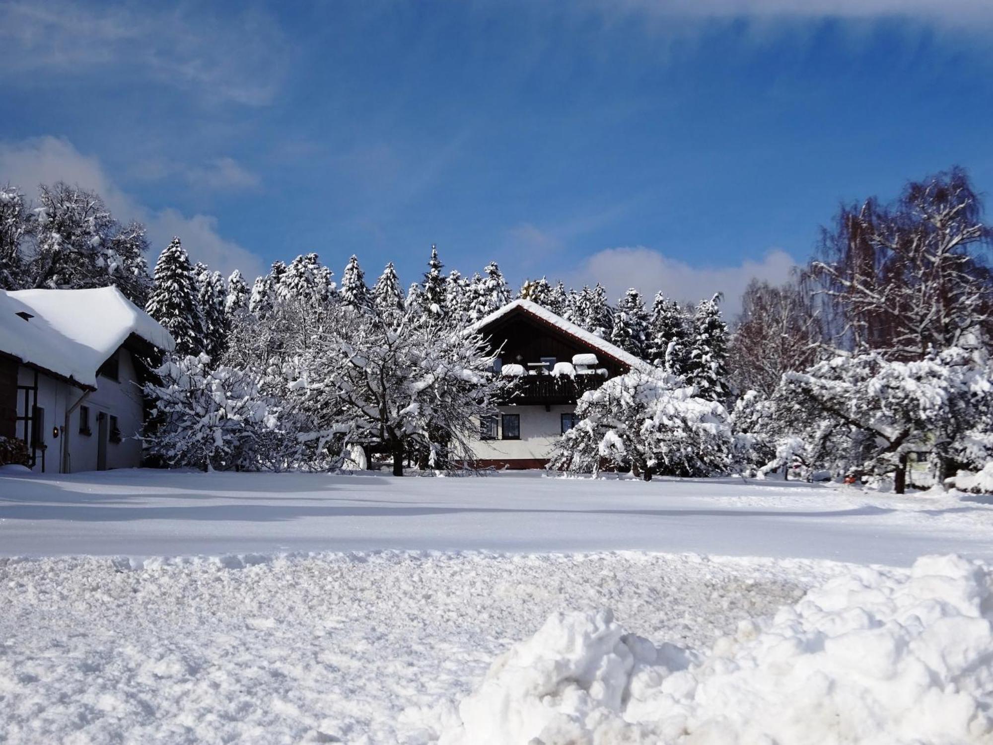 Holiday Home In Lossburg Near The Ski Area Bagian luar foto